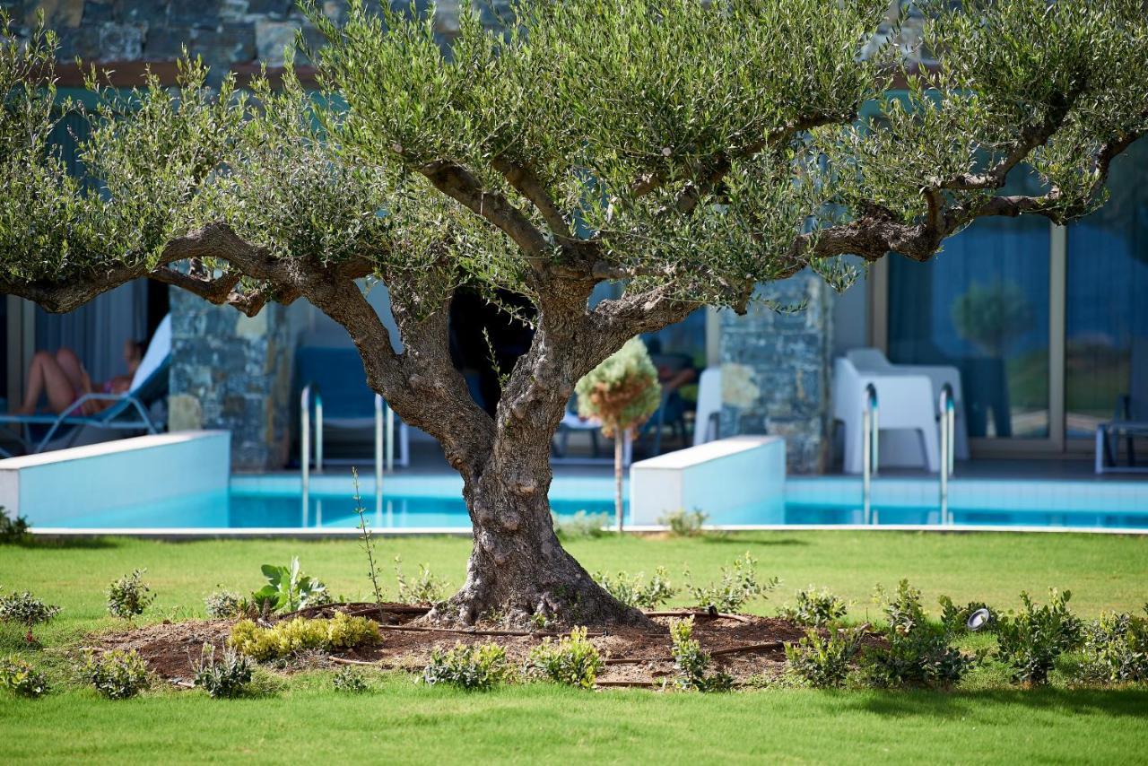 לרפטרה Kakkos Beach Hotel - Adults Only מראה חיצוני תמונה